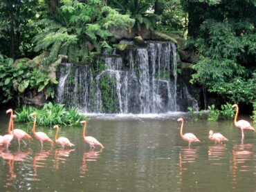 National Parks in Jurong East