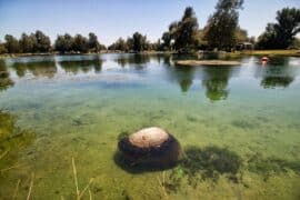 National Parks in Jurupa Valley California