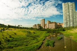 National Parks in Kallang