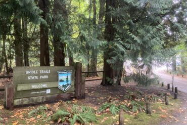 National Parks in Kirkland Washington