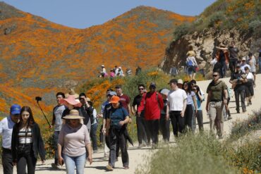 National Parks in Lake Elsinore California