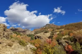 National Parks in Layton Utah