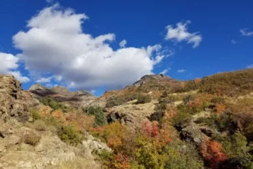 National Parks in Layton Utah