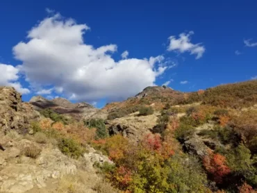 National Parks in Layton Utah