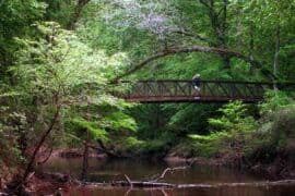 National Parks in Longview Texas