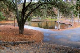 National Parks in Orange California