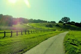 National Parks in Palo Alto California