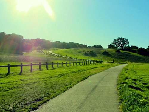 National Parks in Palo Alto California