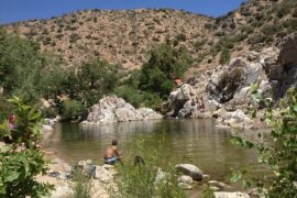 National Parks in San Bernardino California