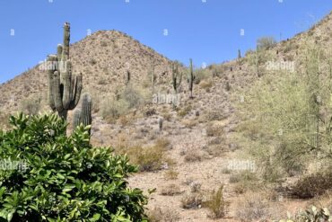 National Parks in San Tan Valley Arizona