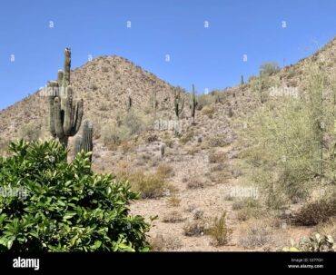 National Parks in San Tan Valley Arizona