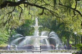 National Parks in Savannah Georgia