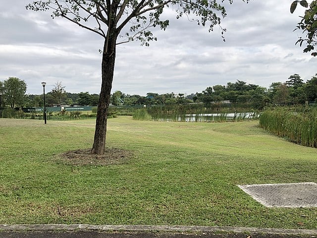 National Parks in Sengkang