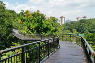 National Parks in Singpore