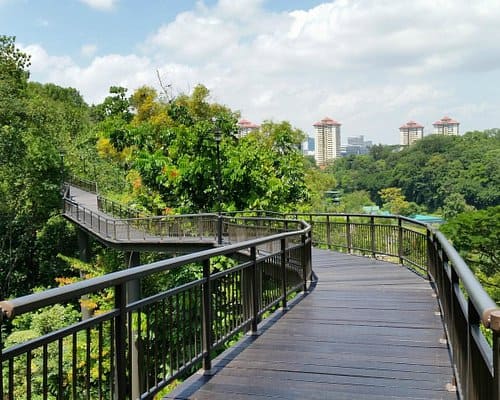 National Parks in Singpore