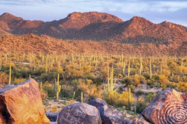 National Parks in Tucson Arizona