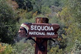 National Parks in Tulare California