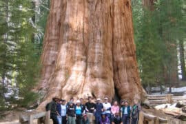 National Parks in Turlock California