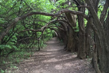 National Parks in Wichita Kansas