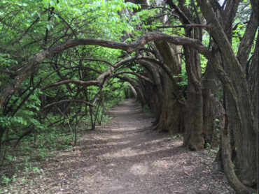 National Parks in Wichita Kansas