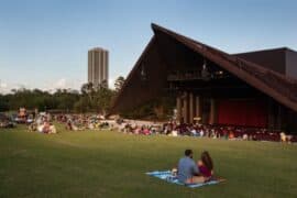 Outdoor Cinemas in Flower Mound town, Texas