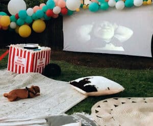 Outdoor Cinemas in Livermore California