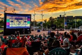 Outdoor Cinemas in Westminster California