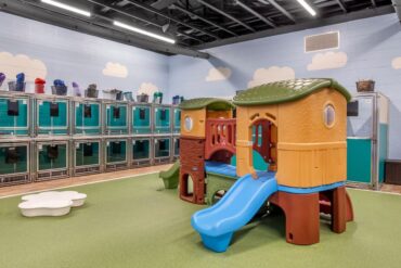 Play Centres in Cedar Park Texas