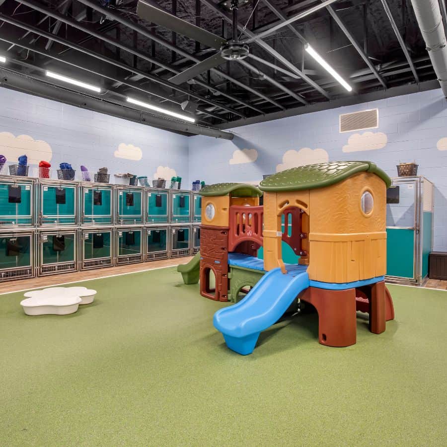 Play Centres in Cedar Park Texas