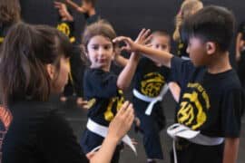 Self Defence Classes in Milpitas California