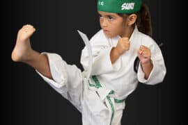 Self Defence Classes in Roswell Georgia