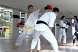 Self Defence Classes in Tampines