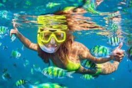 Snorkelling Locations in Allen Texas