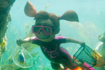 Snorkelling Locations in Anaheim California