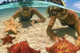 Snorkelling Locations in Atascocita Texas