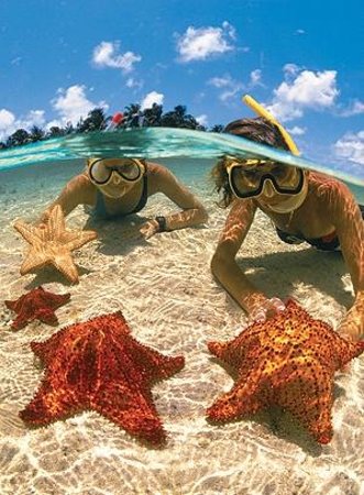 Snorkelling Locations in Atascocita Texas