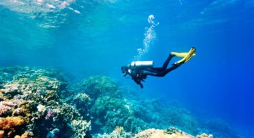 Snorkelling Locations in Buena Park California