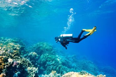 Snorkelling Locations in Buena Park California