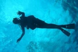 Snorkelling Locations in Carmichael California