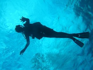 Snorkelling Locations in Carmichael California