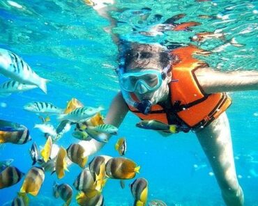 Snorkelling Locations in Chino California