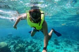 Snorkelling Locations in Columbus Georgia