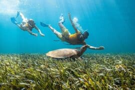 Snorkelling Locations in Dublin California