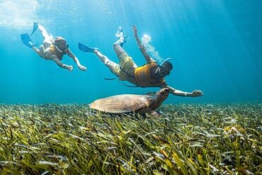 Snorkelling Locations in Dublin California