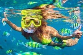 Snorkelling Locations in Edinburg Texas