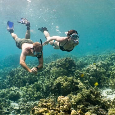 Snorkelling Locations in Fairfield California