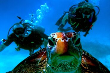 Snorkelling Locations in Goodyear Arizona