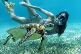 Snorkelling Locations in Leander Texas