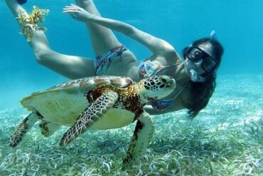 Snorkelling Locations in Leander Texas