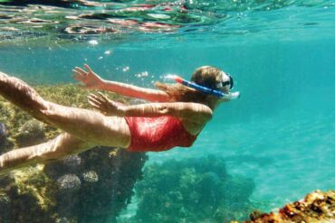 Snorkelling Locations in Marysville Washington